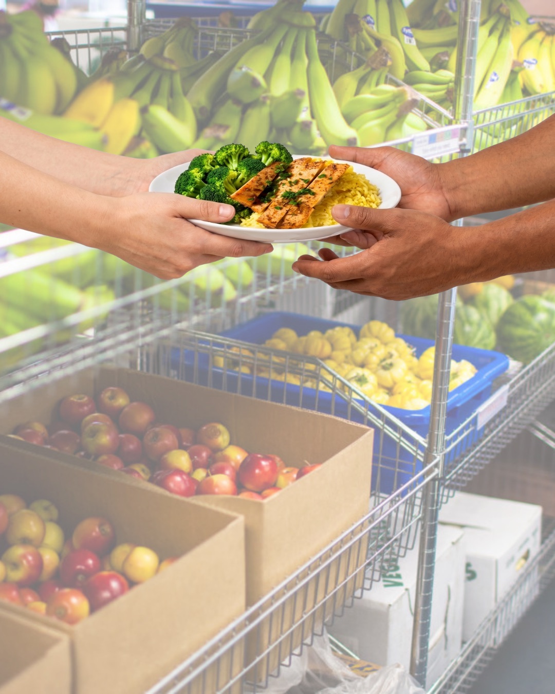 a plate of fresh food being shared, minneapolis second plate program